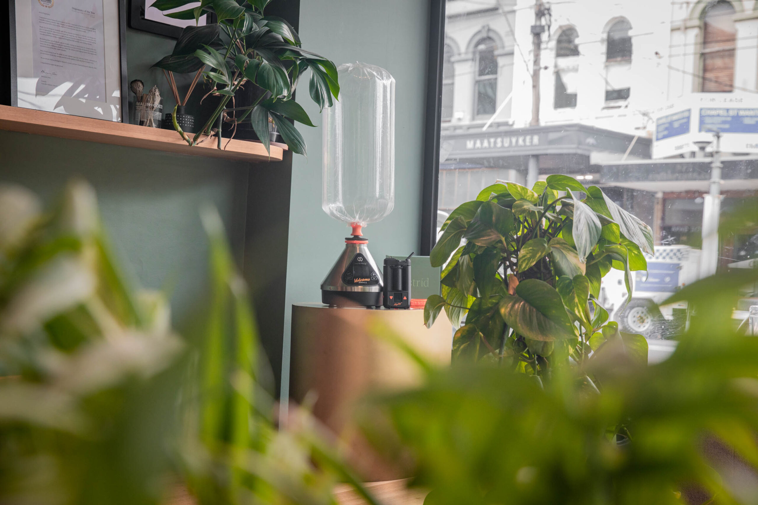 Interior of astrid dispensary