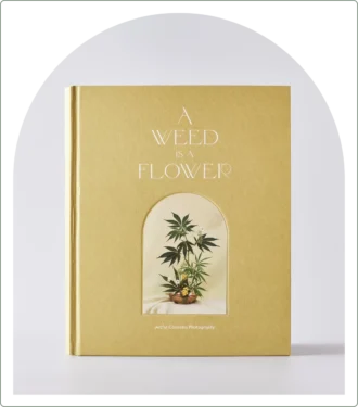 Cover of book, weed is a flower