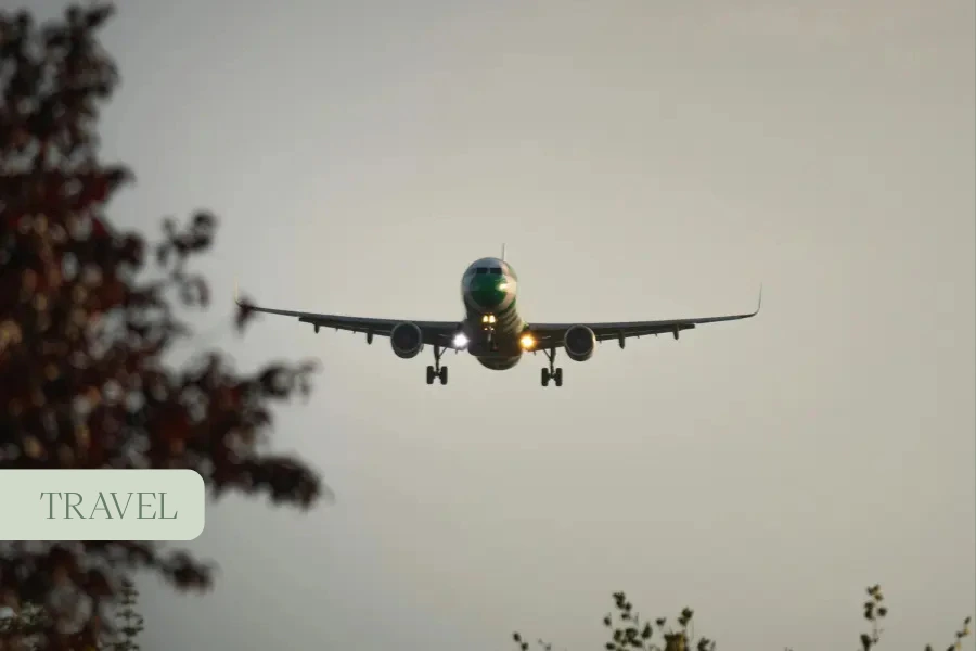 a picture of an airplane flying near the woods