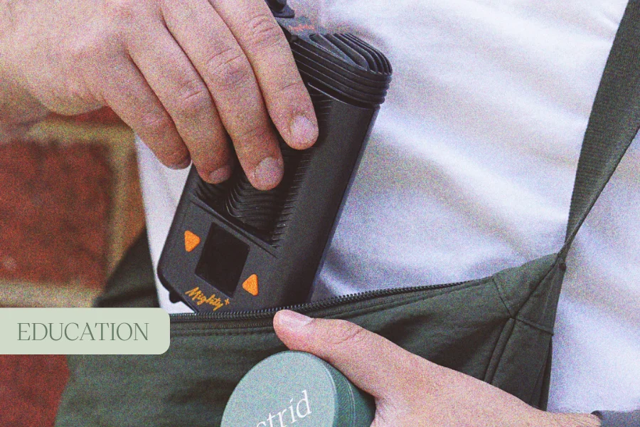 What are Vaporisers? Differences Between Desktop vs Portable Vaporisers