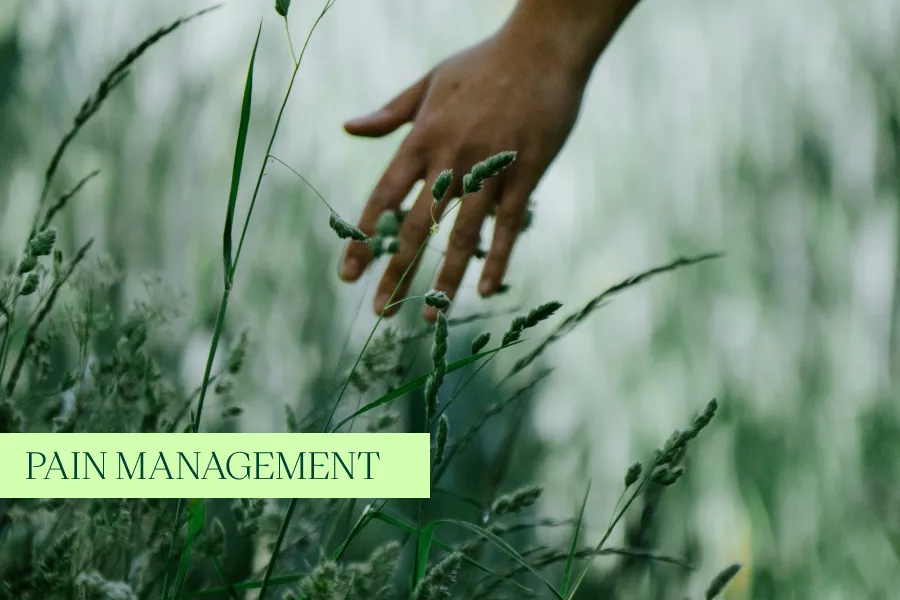 photo of a hand in plants