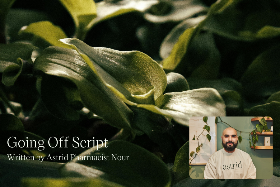 From The Corner to The Clinic 10 Years of Medicinal Cannabis